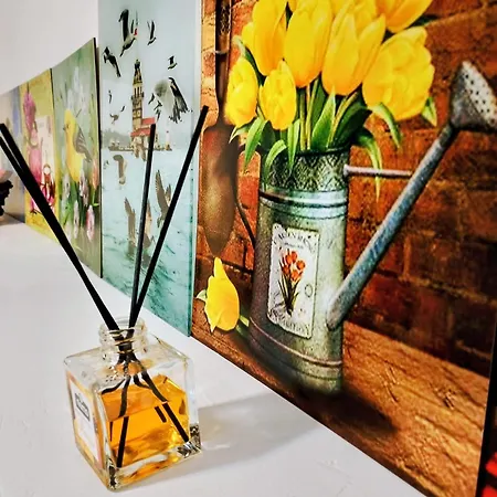 Guesthouse5 Karma369 旅馆 普罗夫迪夫