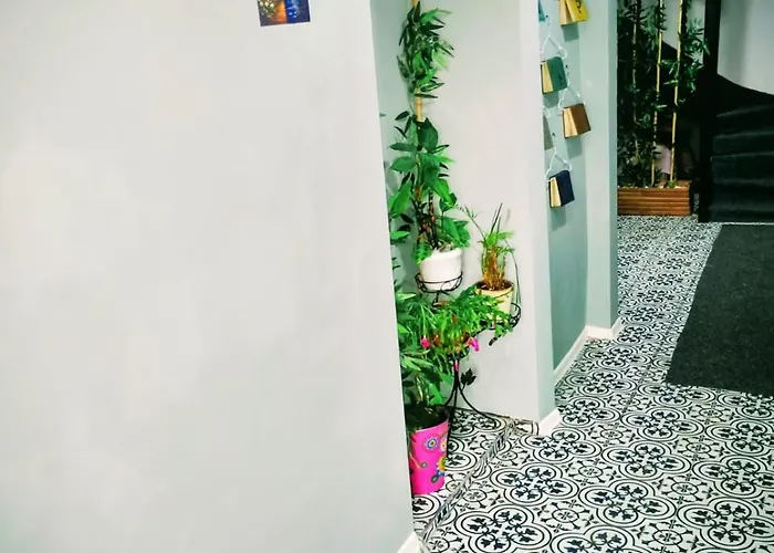 Guesthouse5 Karma369 旅馆 普罗夫迪夫